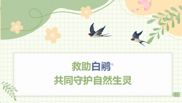 救助白鹇，共同守护天然生灵
